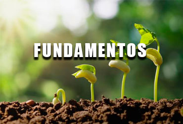 logo-curso-fundamentos